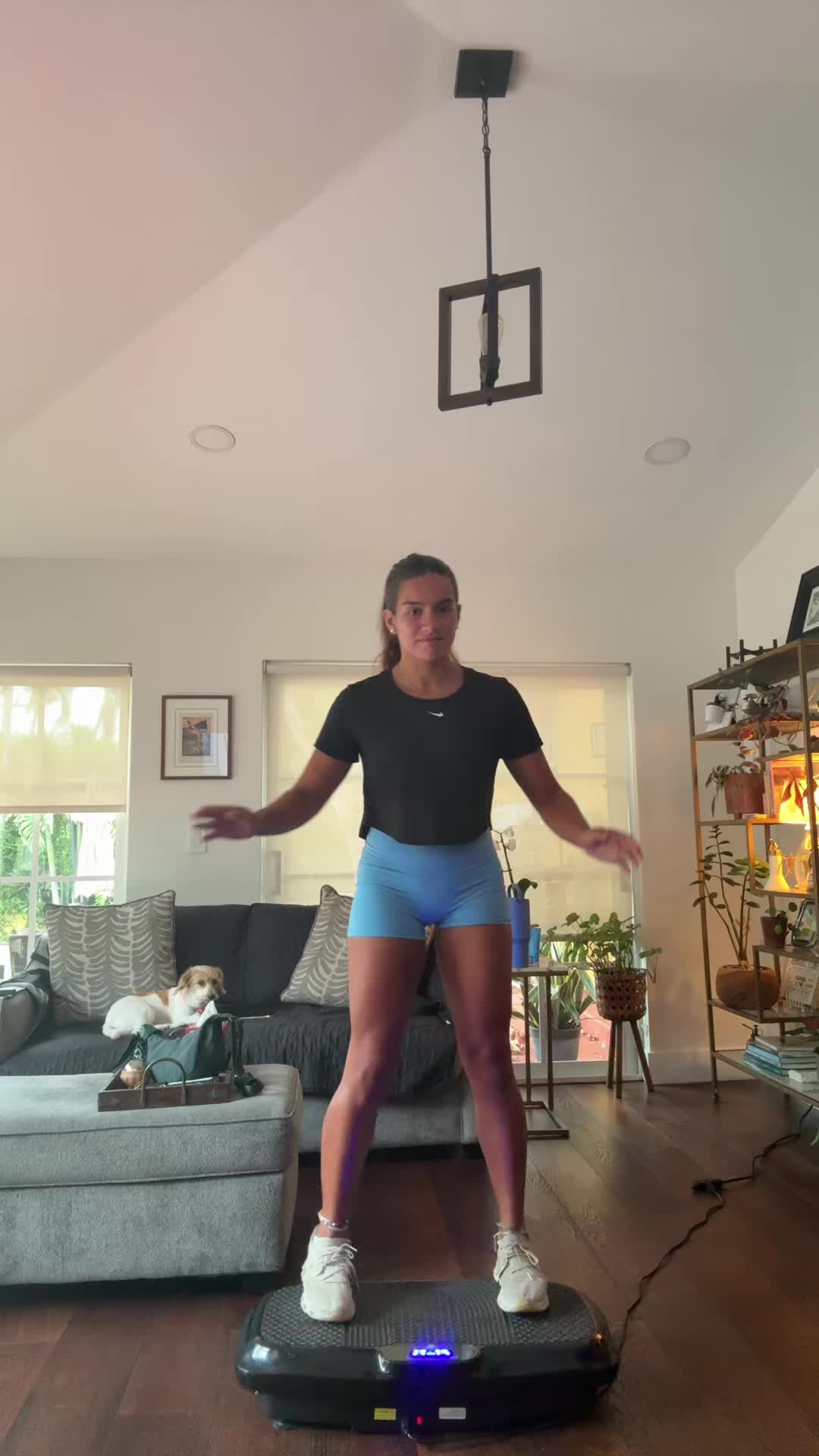 @francescalaraa