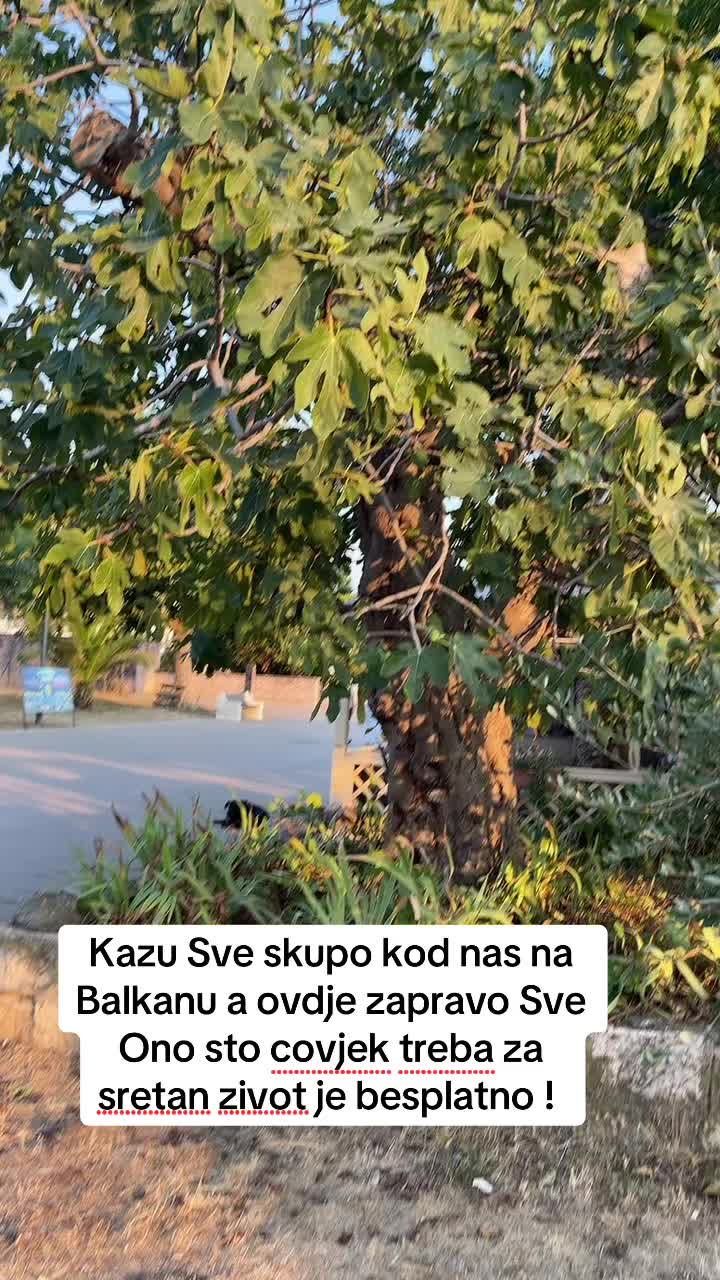 @❤️ŽENA_ZMAJ❤️