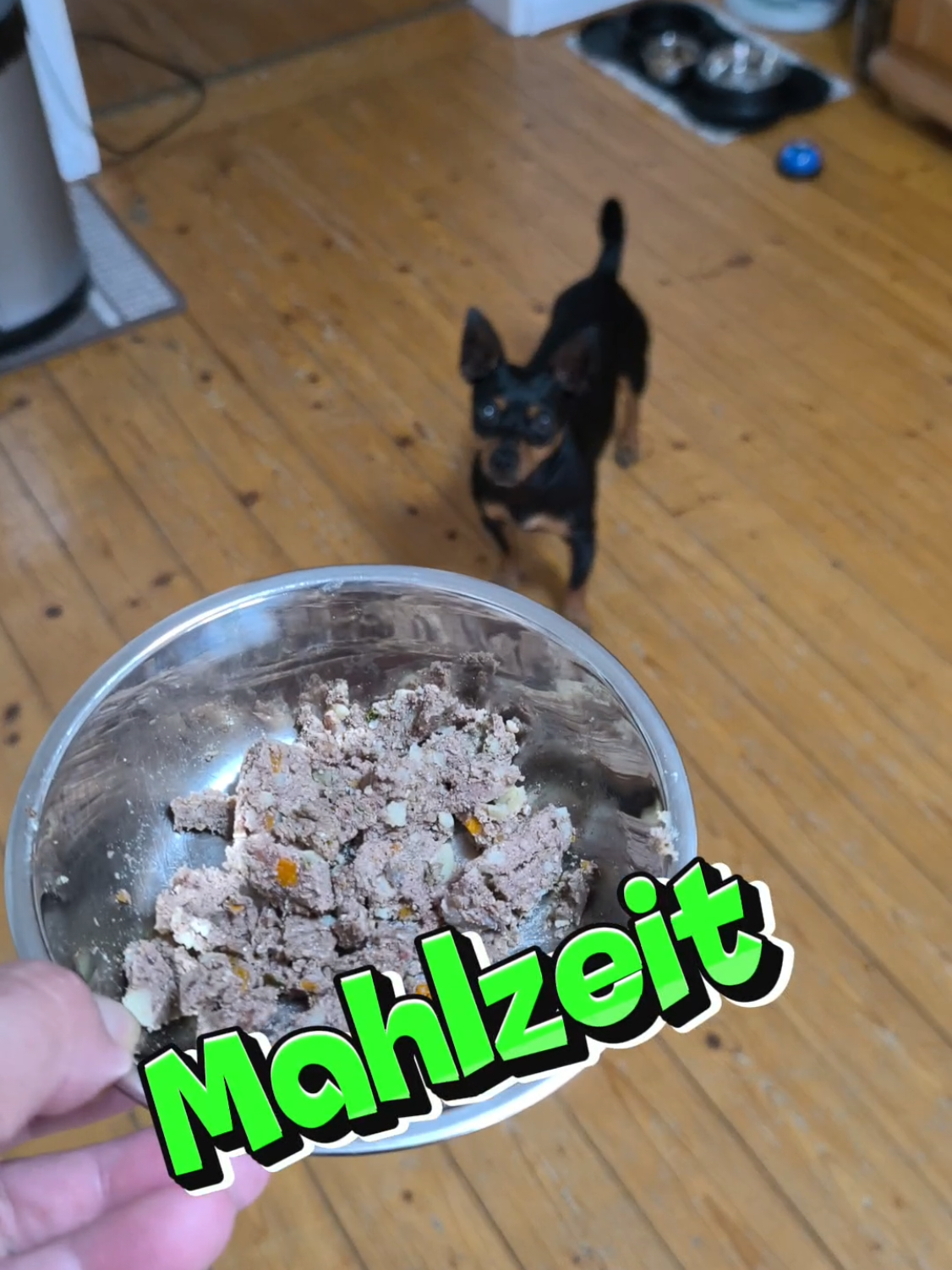 @ICH BIN'S
