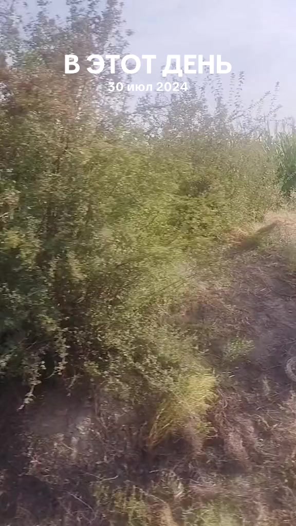 @Наргиз 🌺