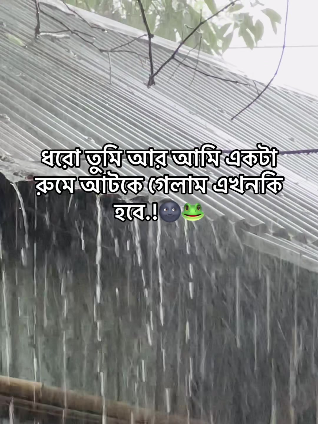 @টিক-টিকি