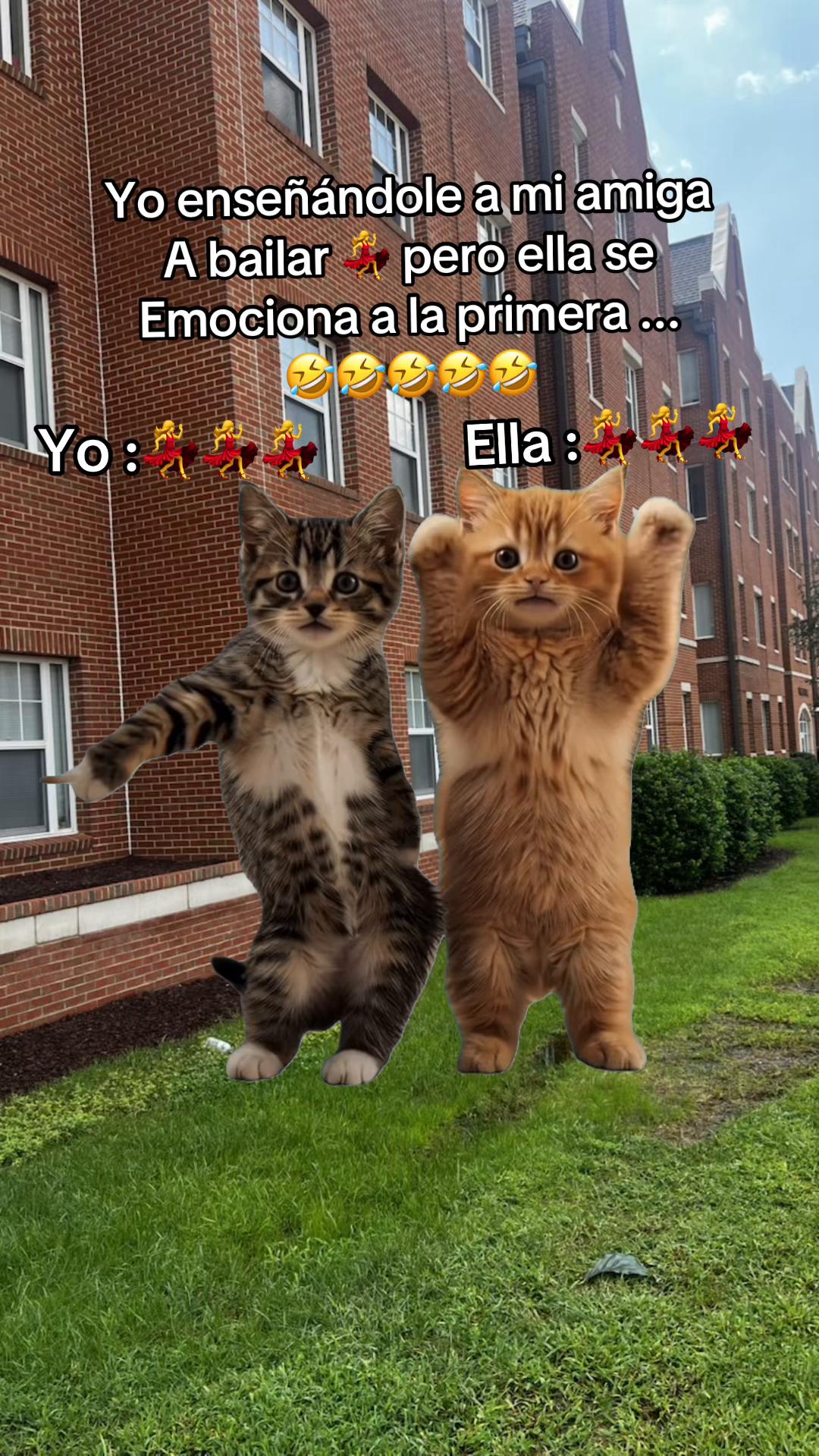 @maripili