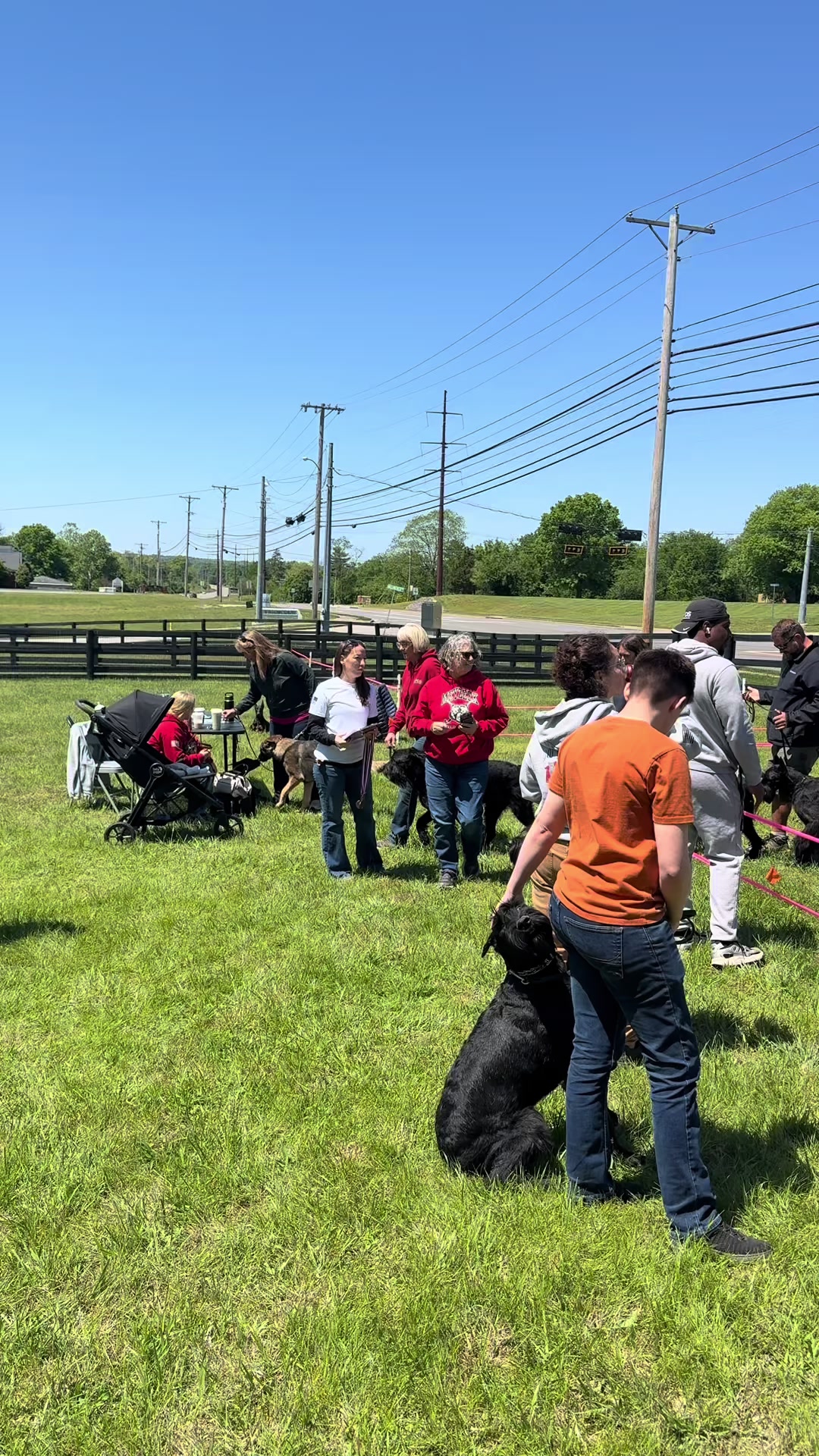 @Protection Dog Sales
