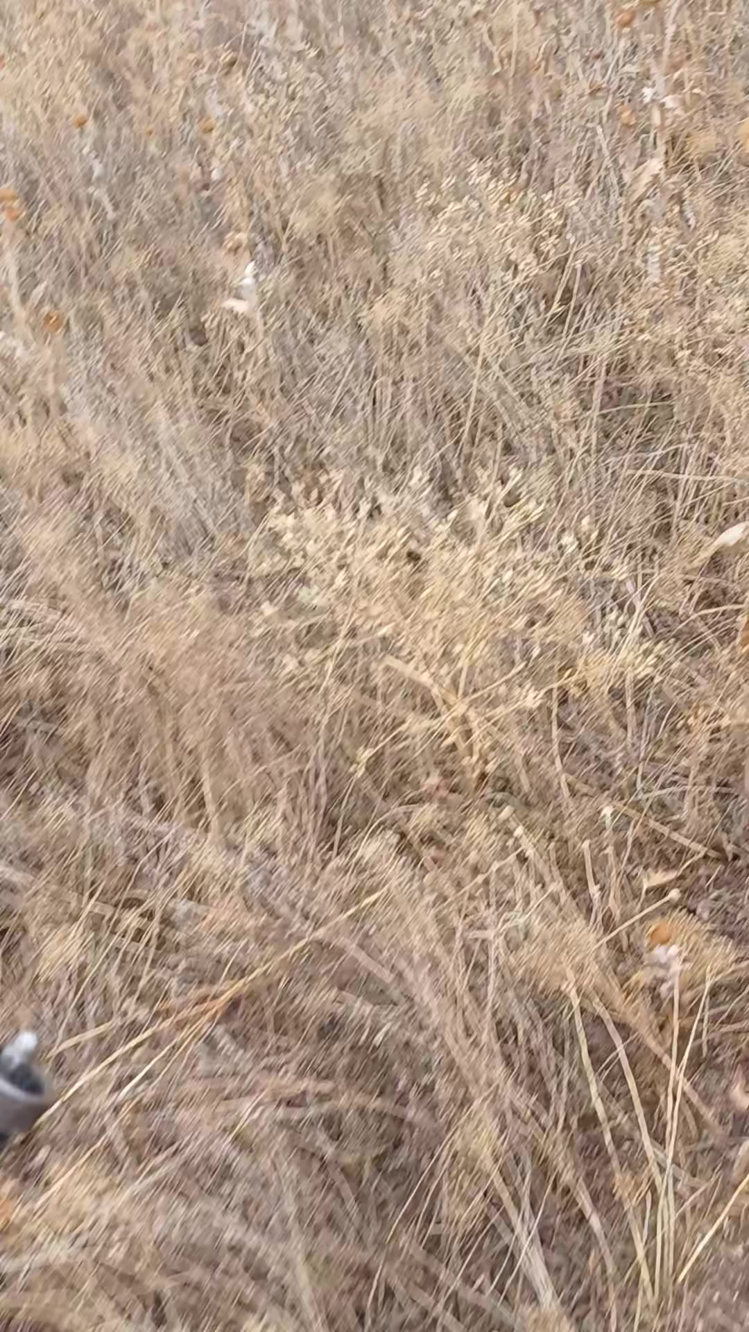 @Саша ( Метр )