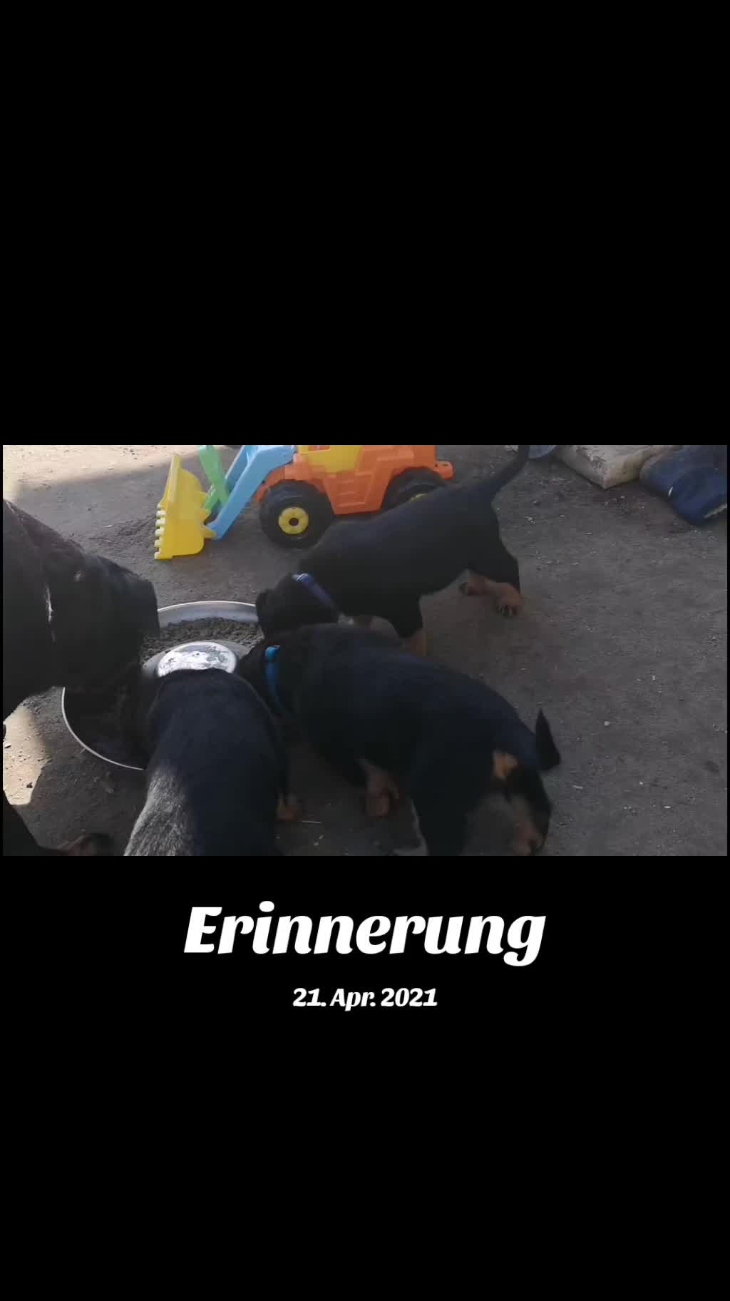 @Dieviervondertanke92