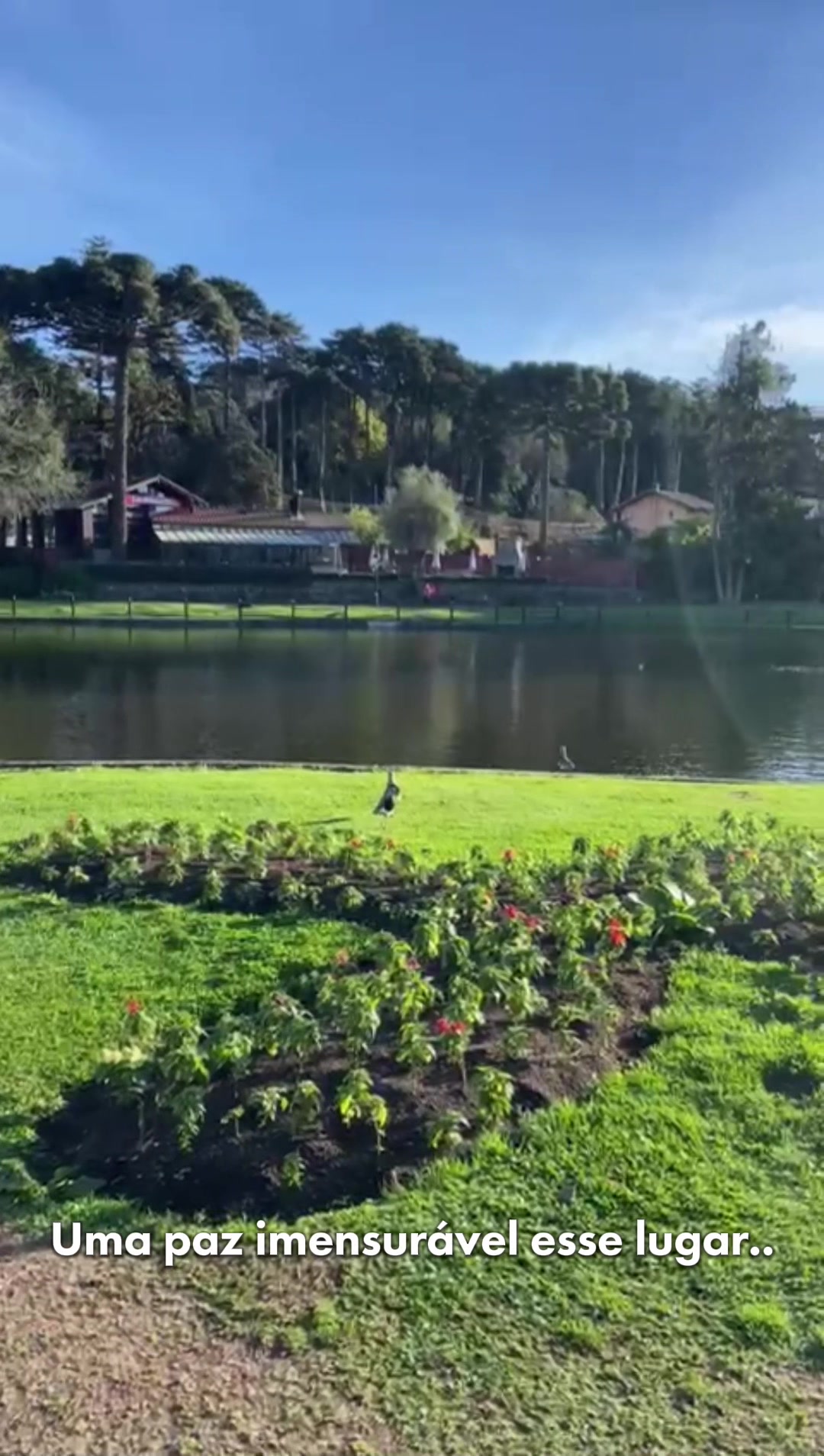 @NossoAptoEmGramado