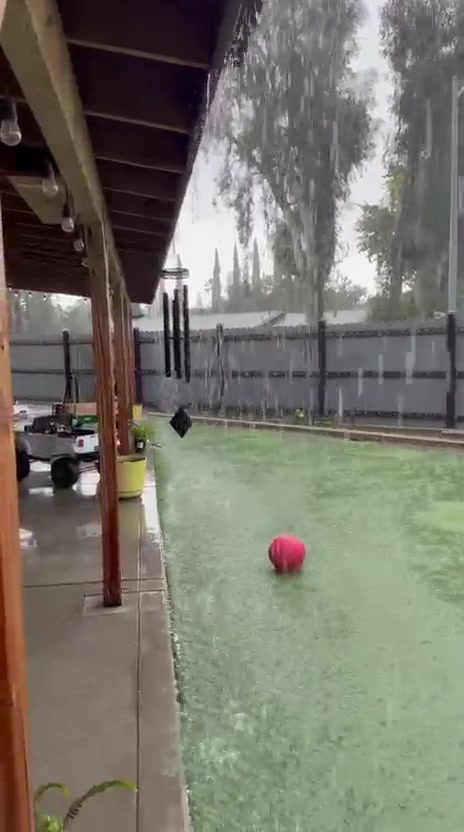 @𝓛𝓾𝓬𝔂 𝓥𝓲𝓵𝓵𝓪𝓻𝓻𝓮𝓪𝓵