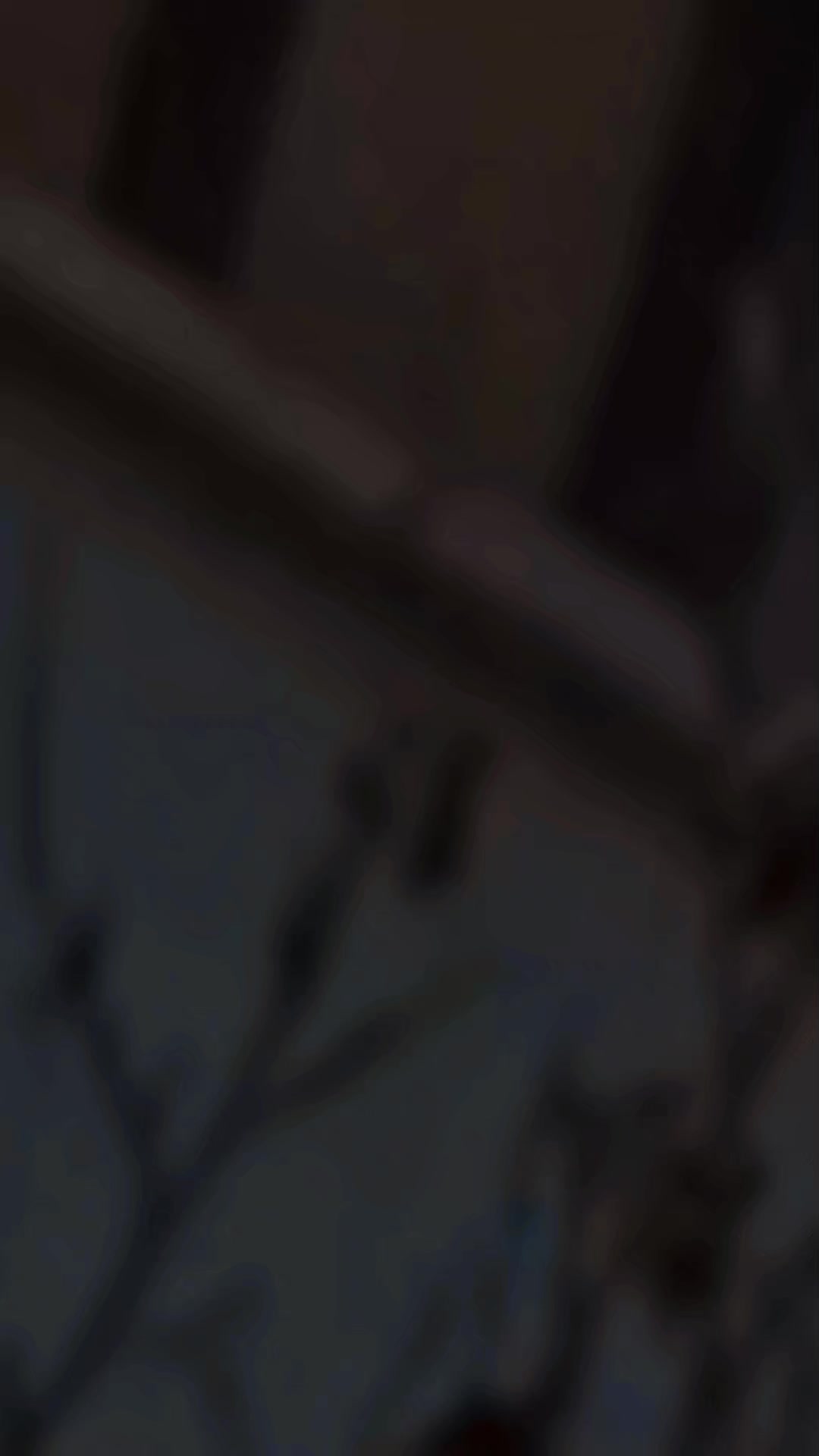 @ꨄ✵𝐑𝐤♕𝐊𝐢𝐧𝐠✵ꨄ