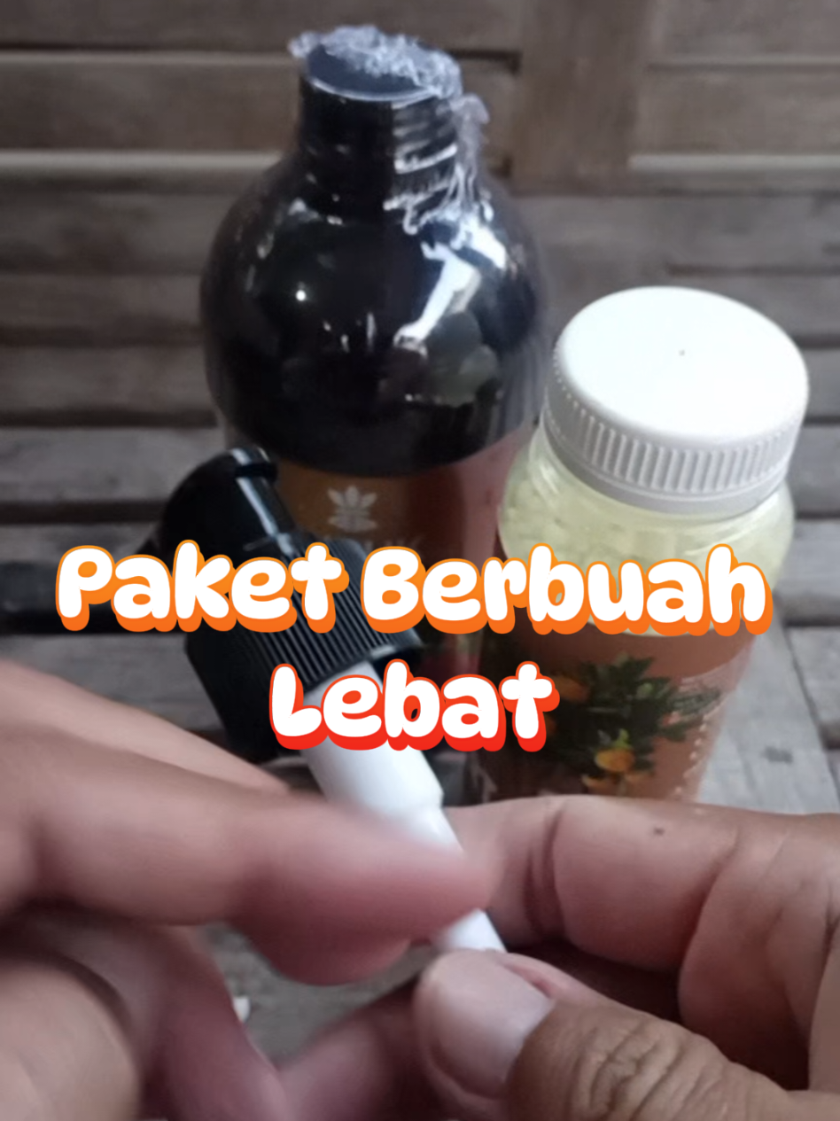 @Berkebun Berkah