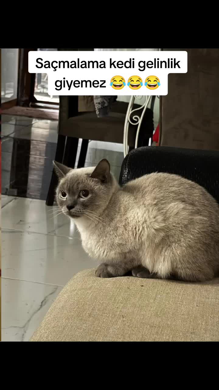 @Eda Tekerek