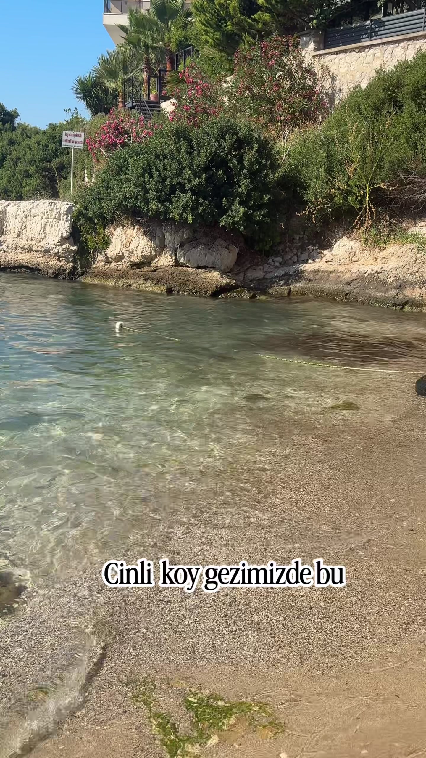 @Sevilay G.Paldrak