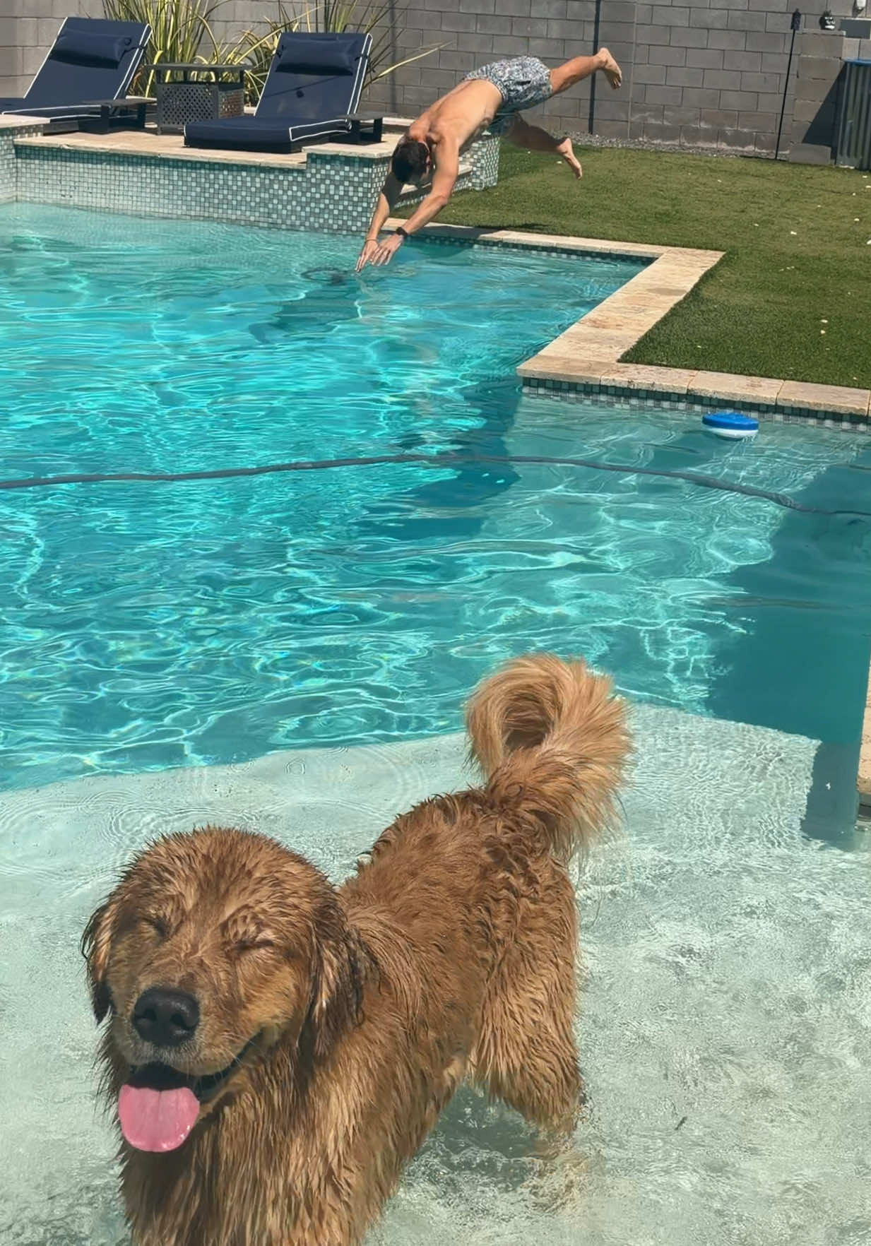 @Romeo the Retriever