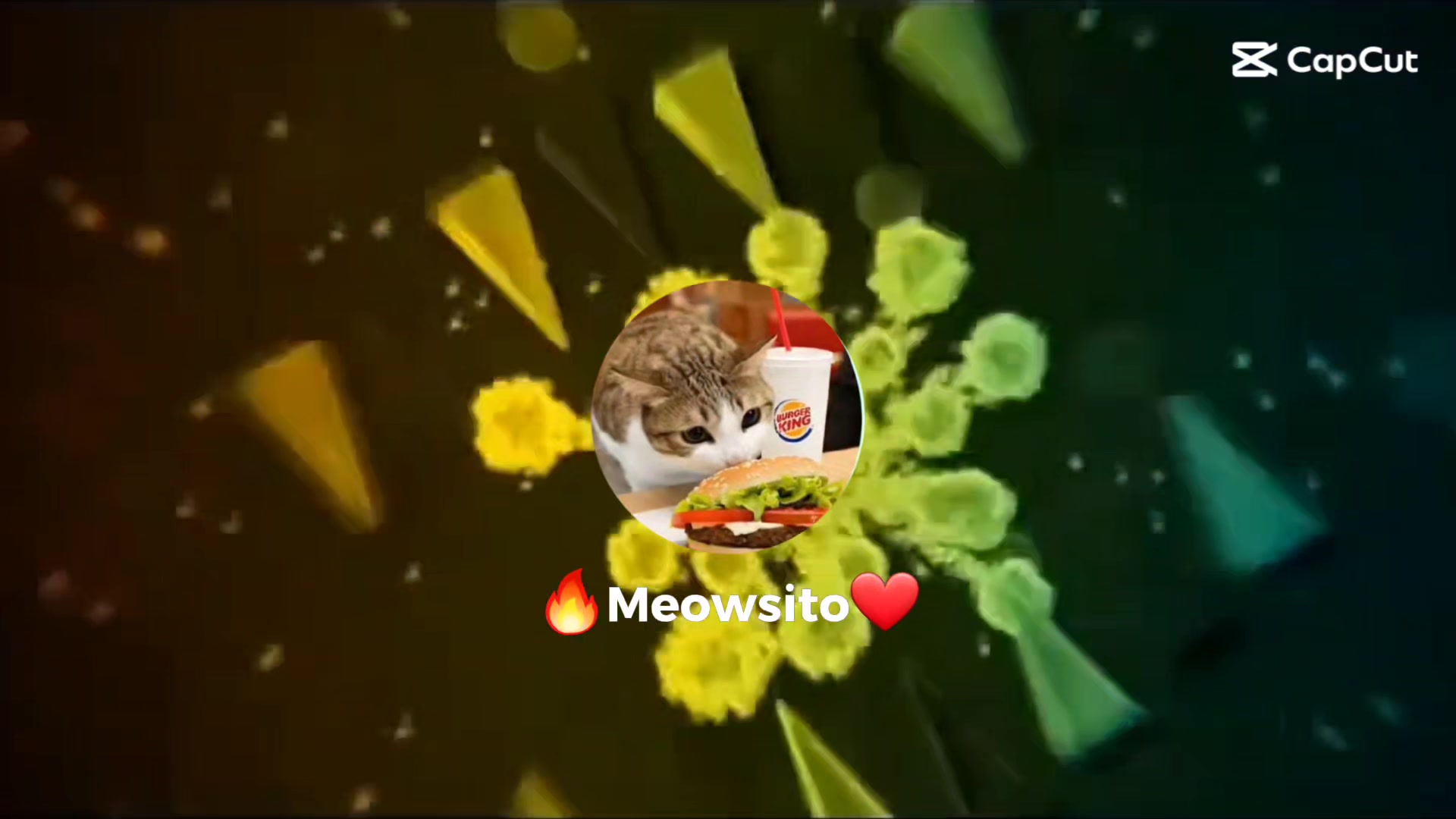 @🔥Meowsito❤️
