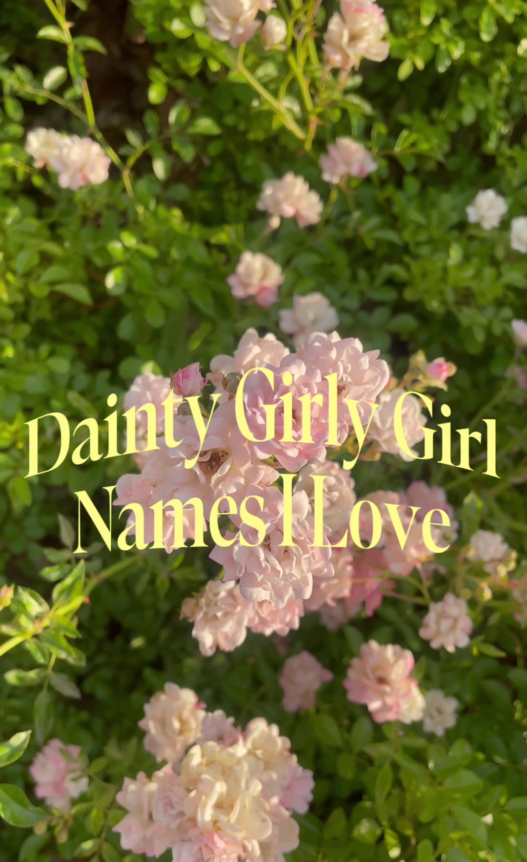 @Adored Baby Names