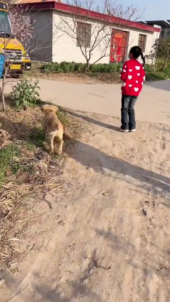 @啊痴