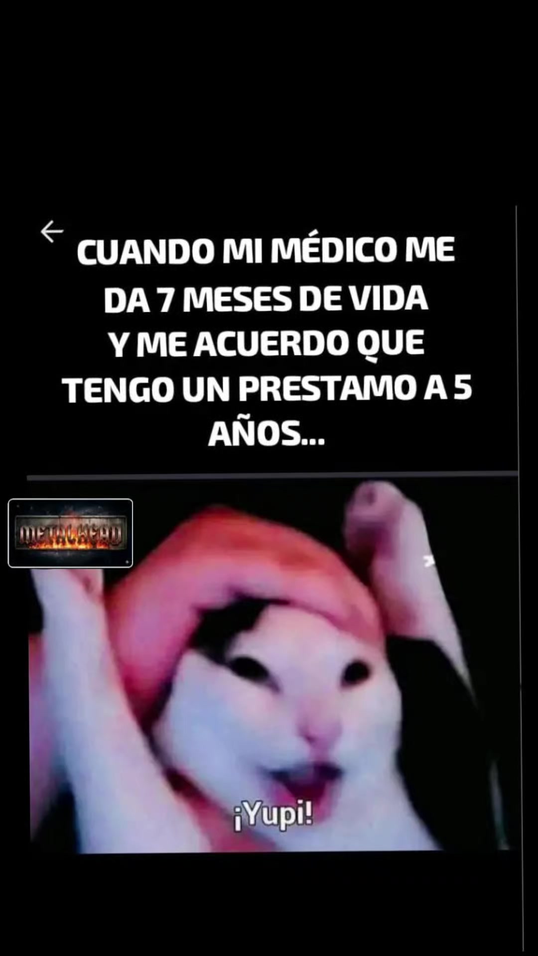 @Metal Head