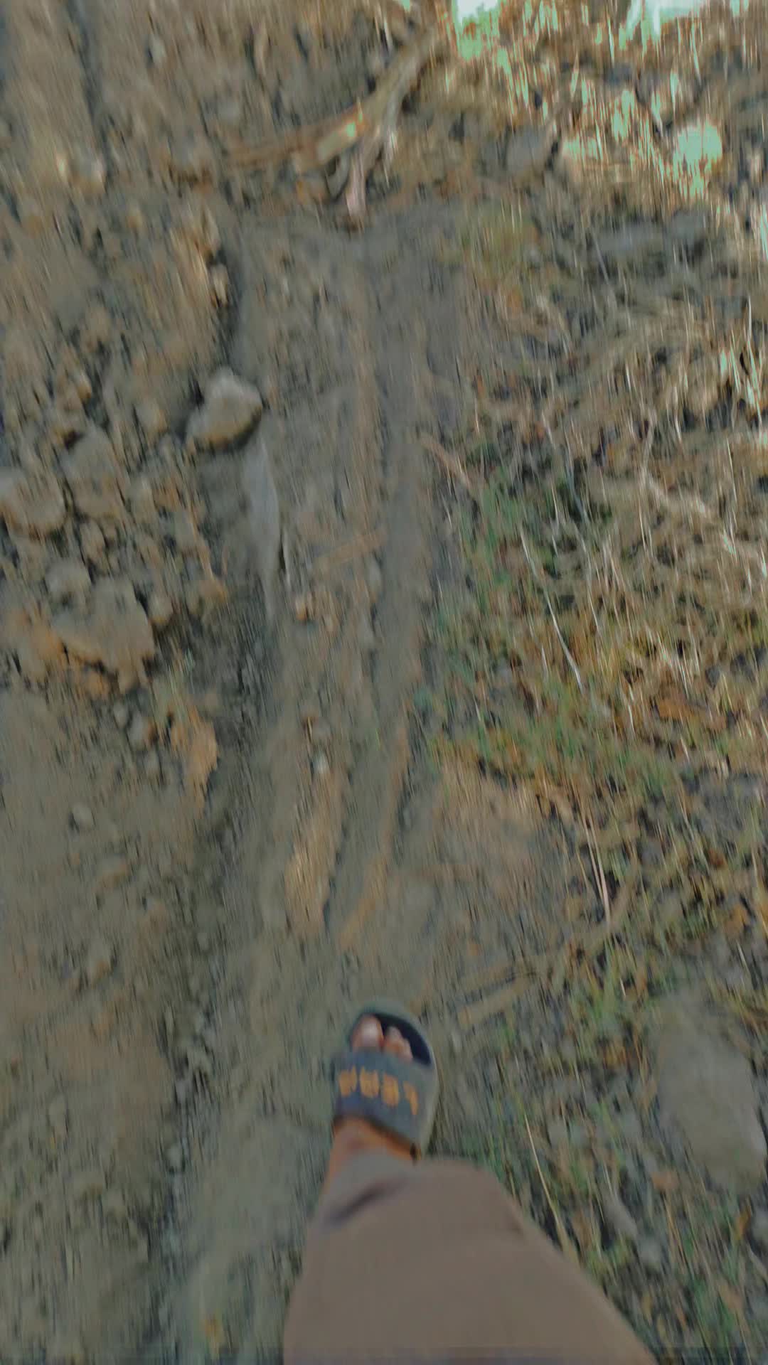 @فارمنگ 👳🏾🌾