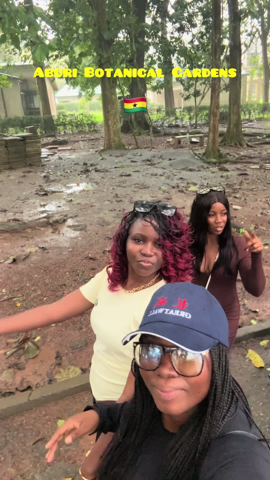 @Dzidzi 🦋