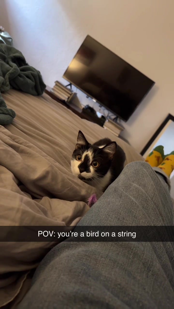 @dillnye3