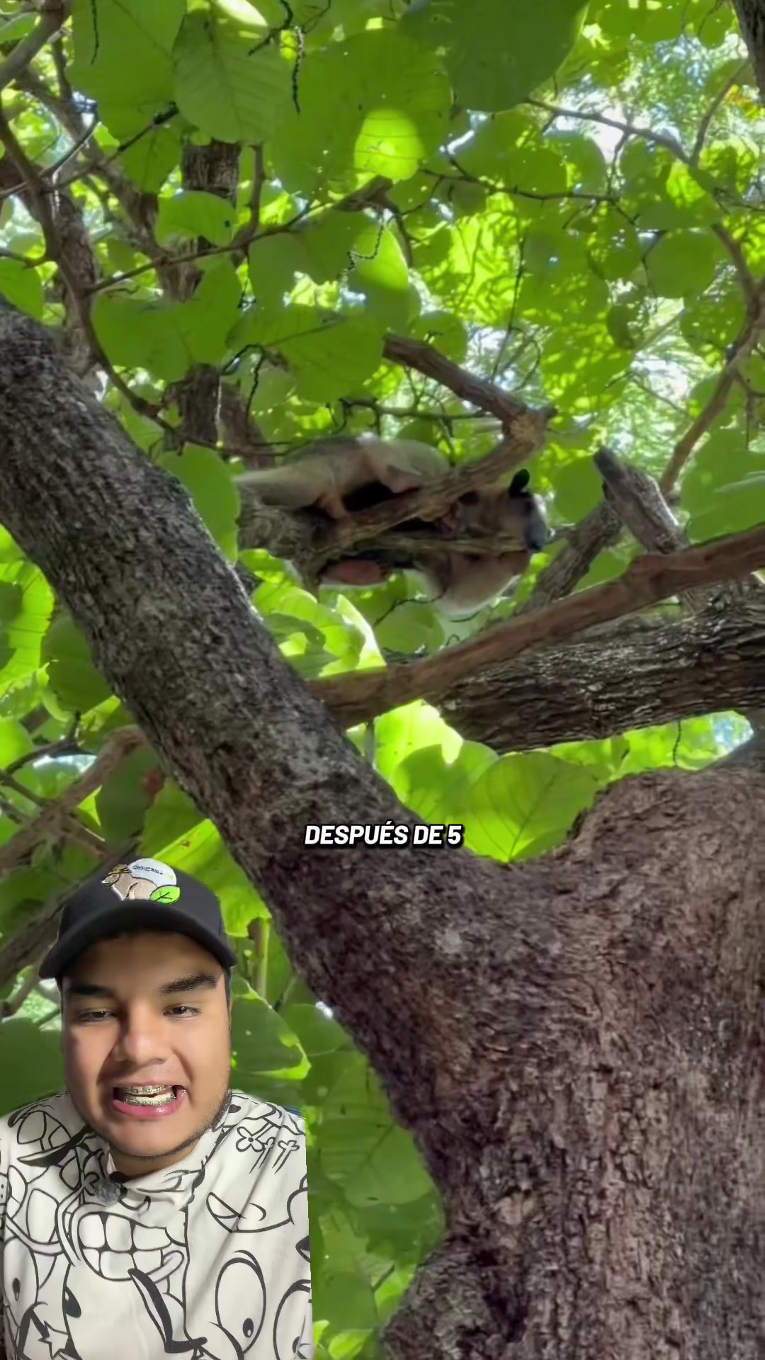 @Jair Herrera 🐆
