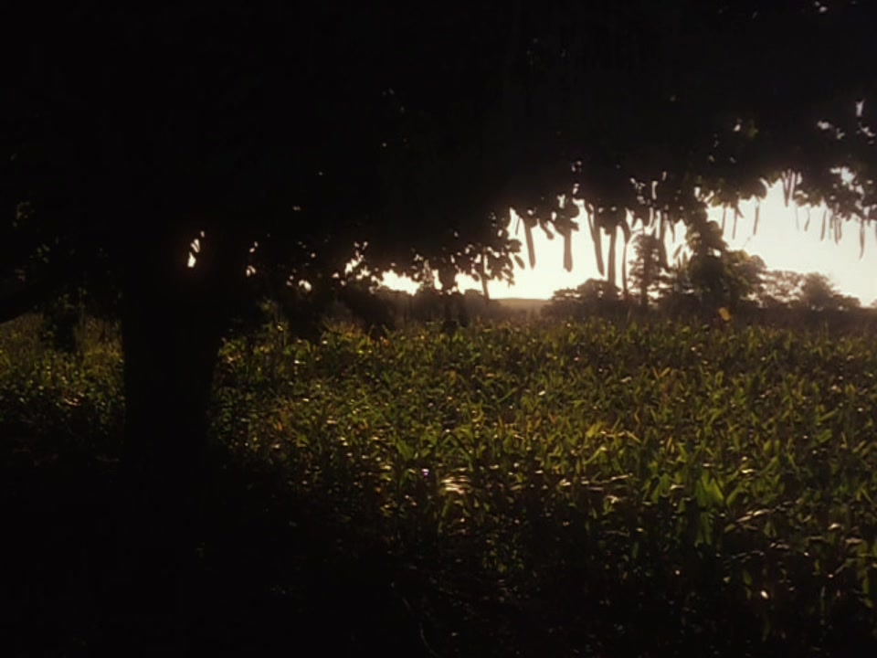 @Silent Refuges