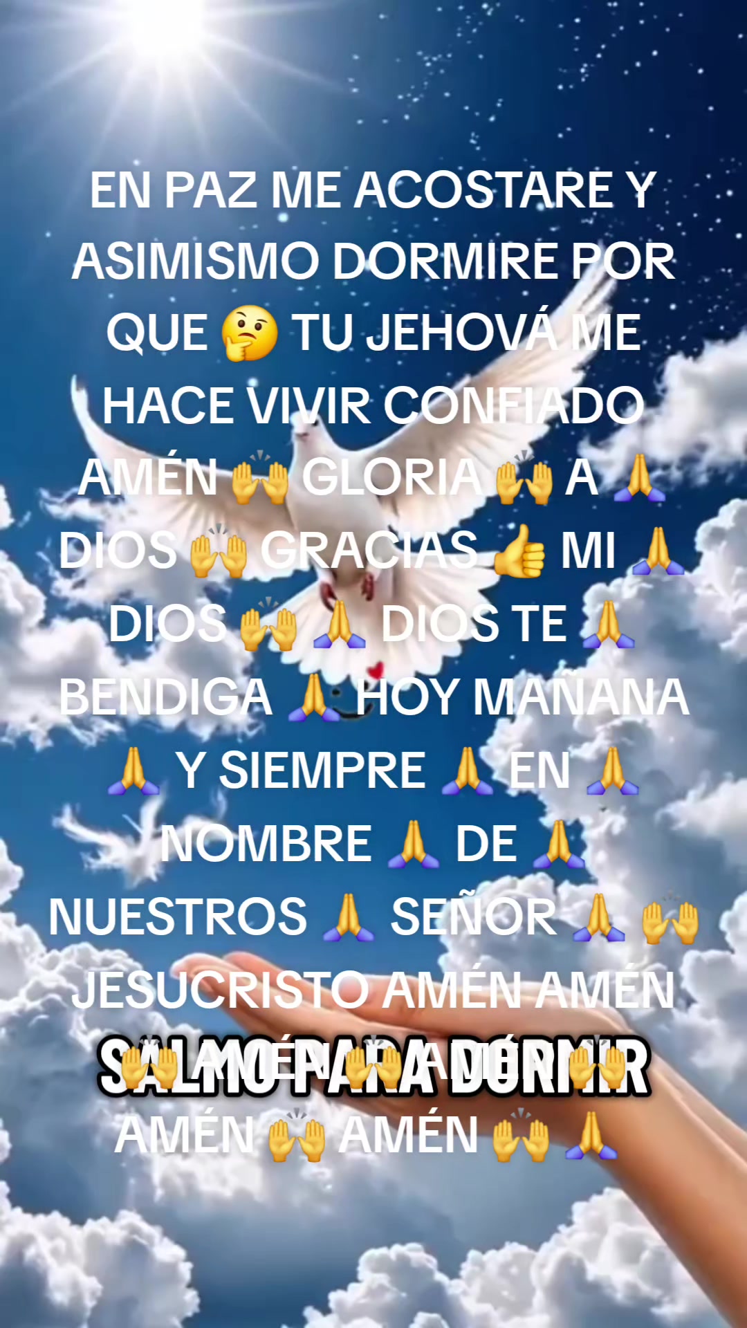 @Iliana Guerrier
