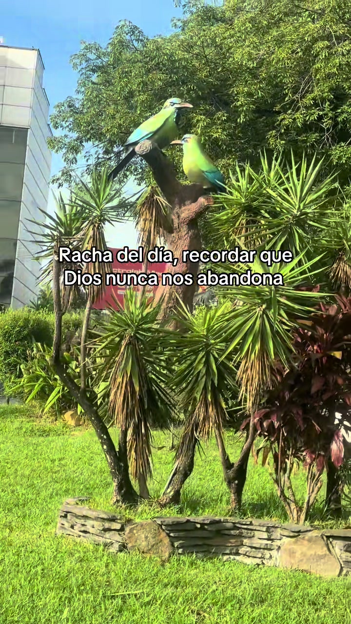 @Jessy Serrano