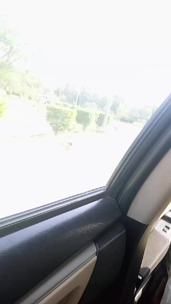 @soniya Rajput