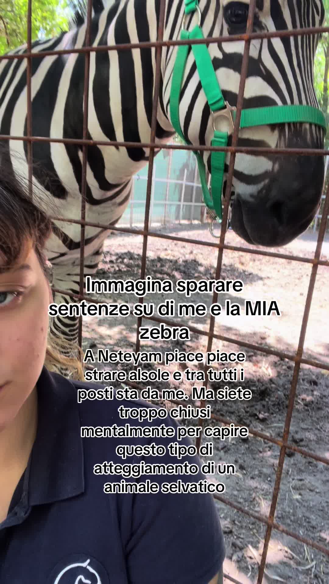 @Carmen Corrain
