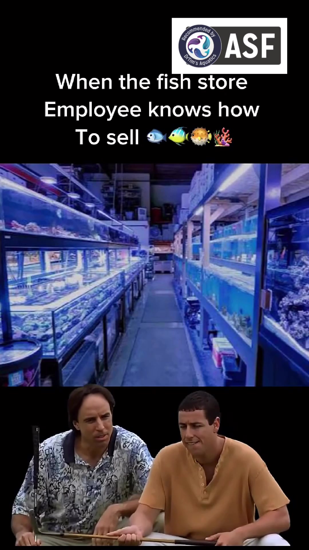 @DrTim