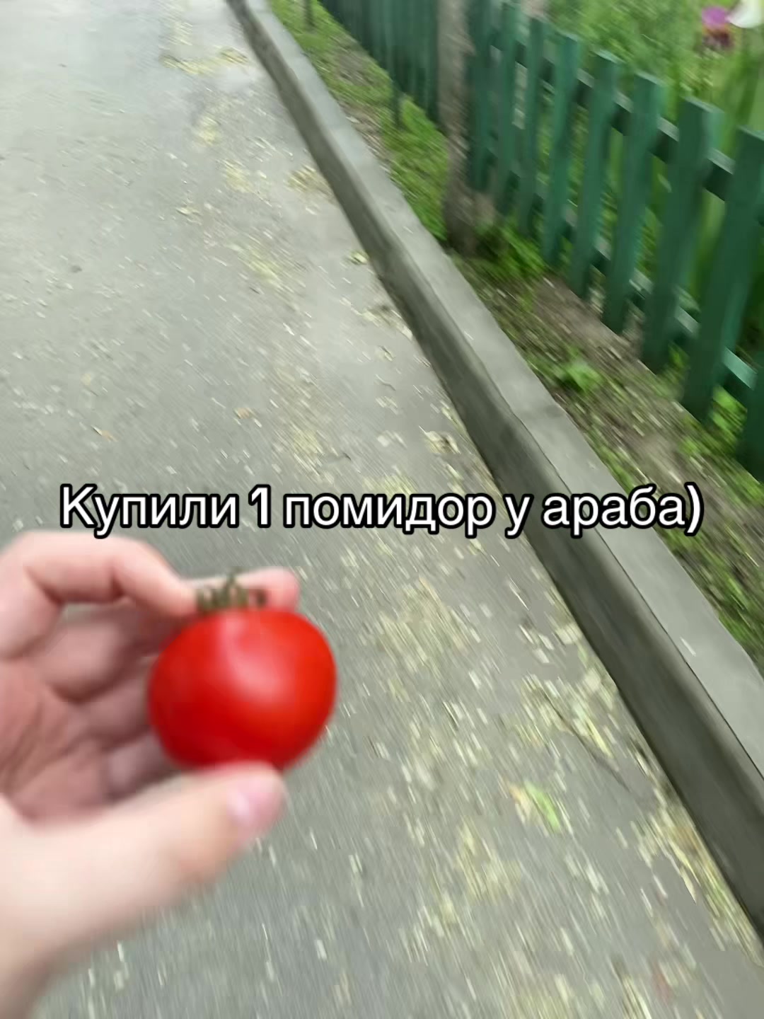 @ksooo777🪽