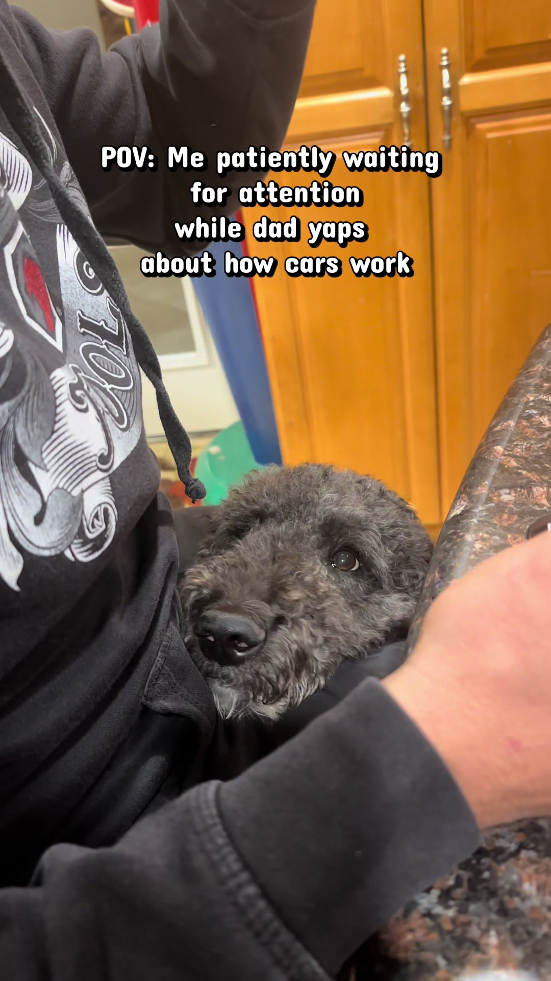 @Luna - The Goodest Labradoodle