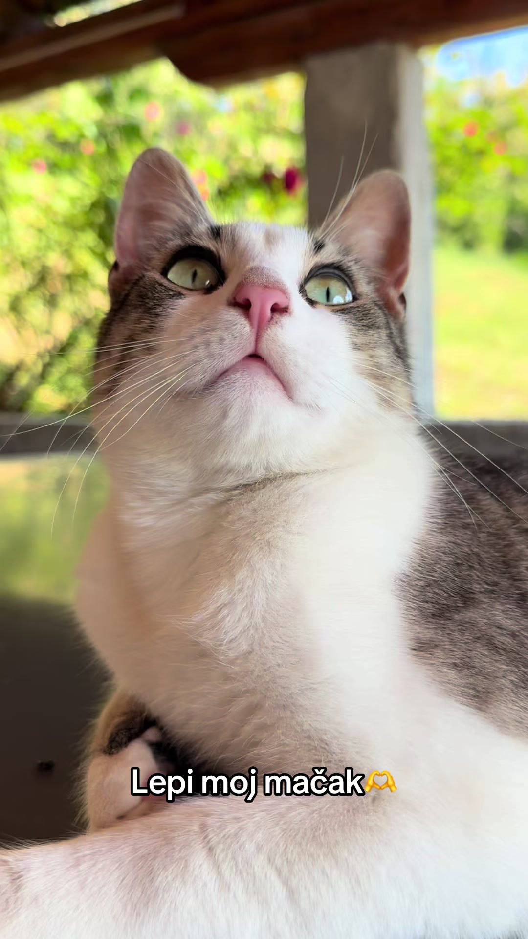 @Sladja🐱