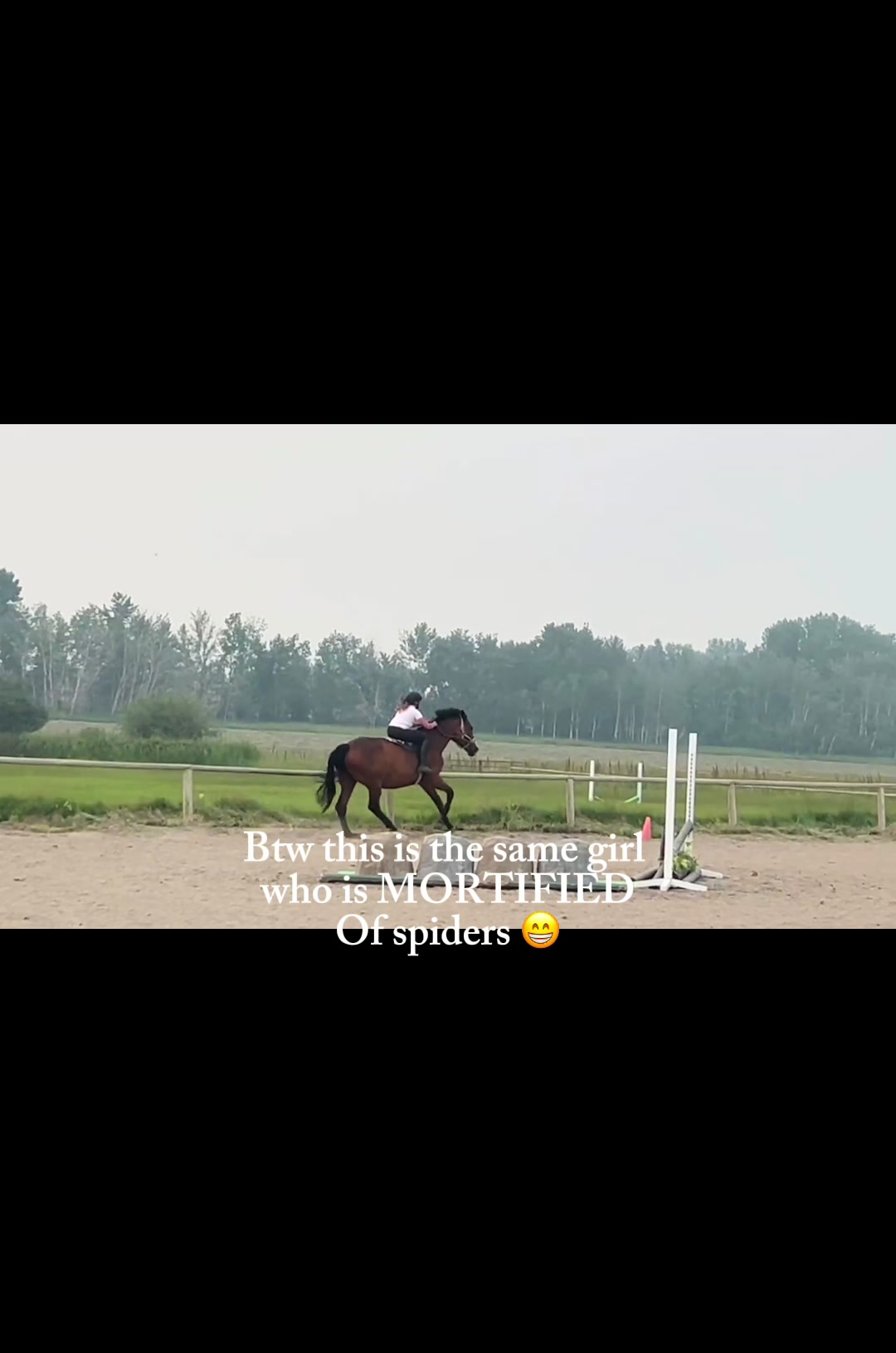 @Kaya_Equine _Molly