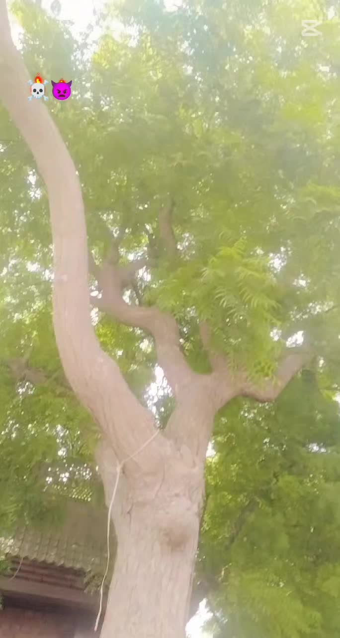 @user3094258369918