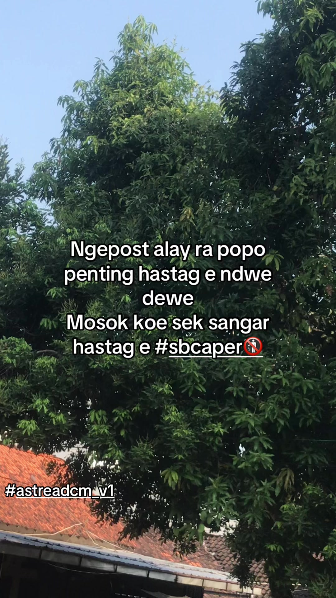 @DA🚀