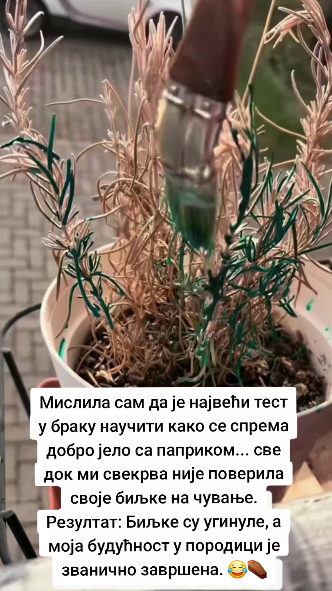 @Balkanka