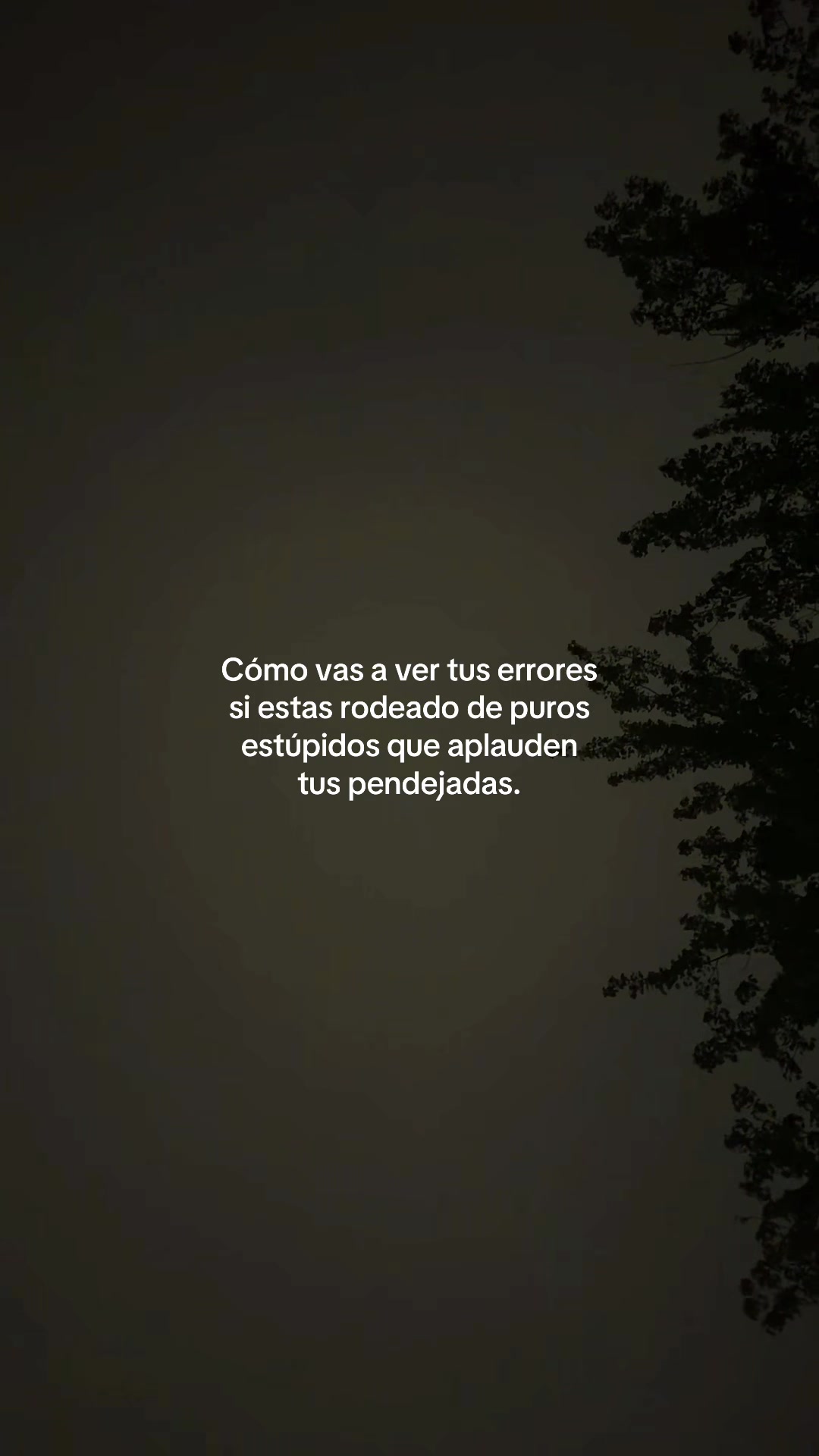 @“Voces del Eco”
