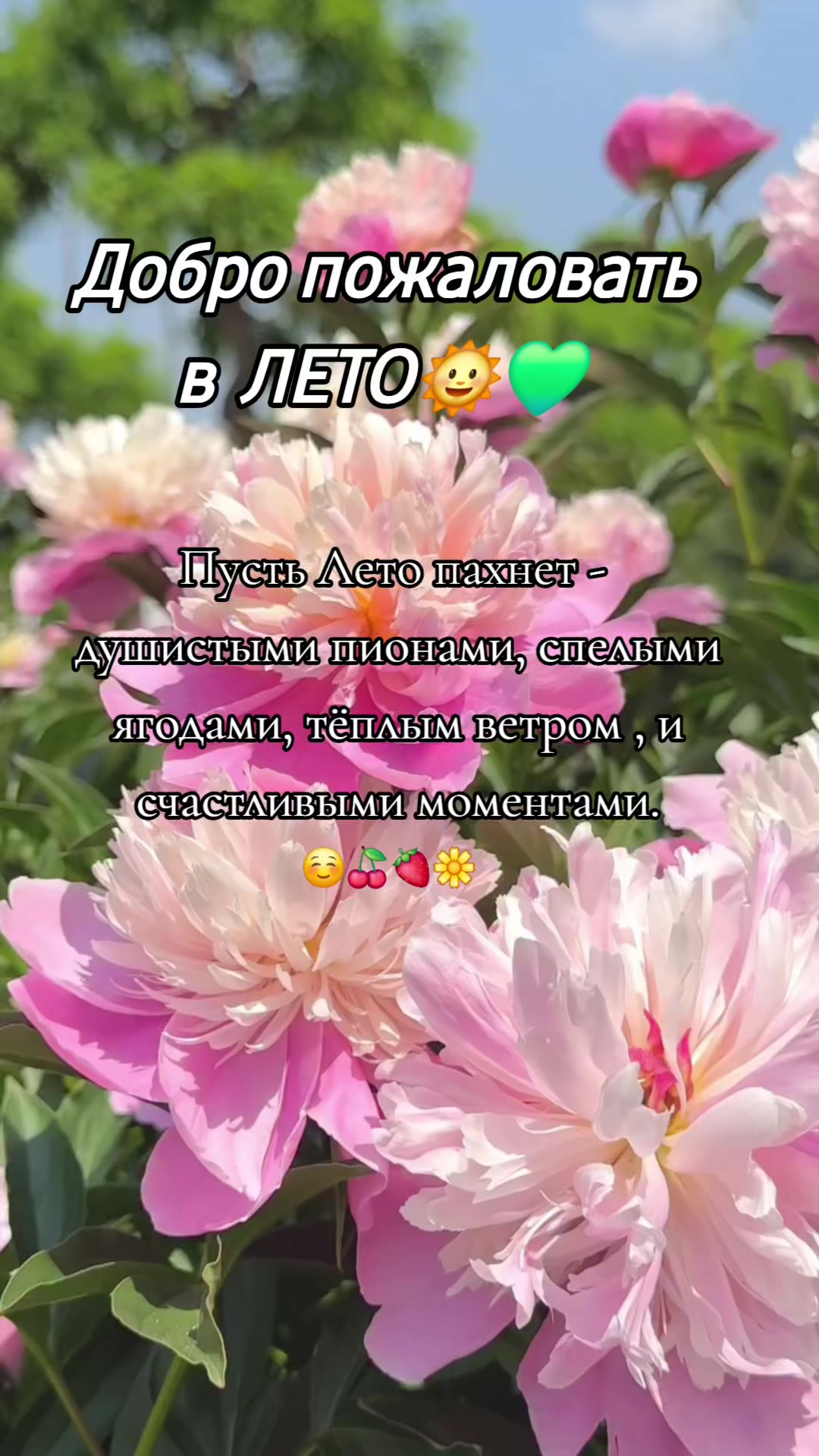 @🇰🇿🌺🌸Нᴀᴛᴀᴧья🌸Kz.16_ukg👋🤝