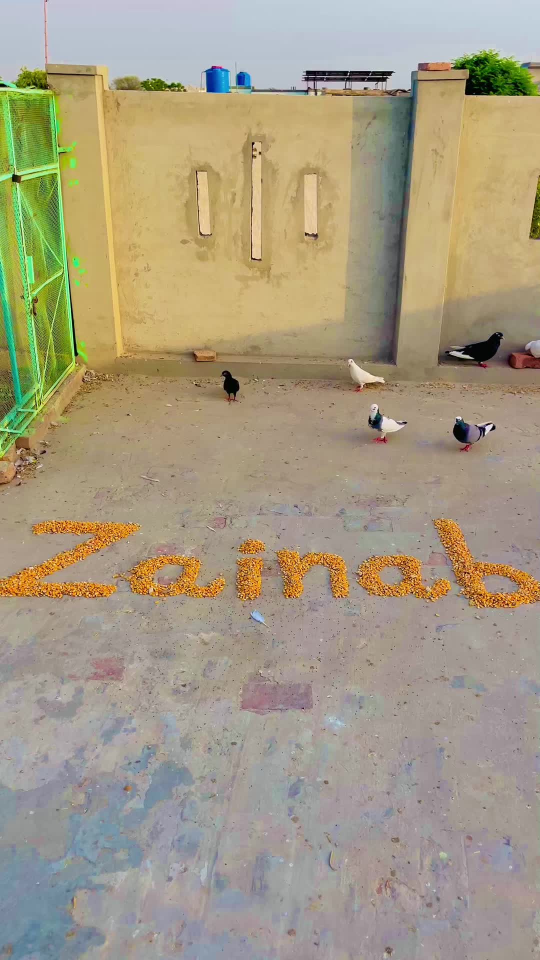 @Shahroz