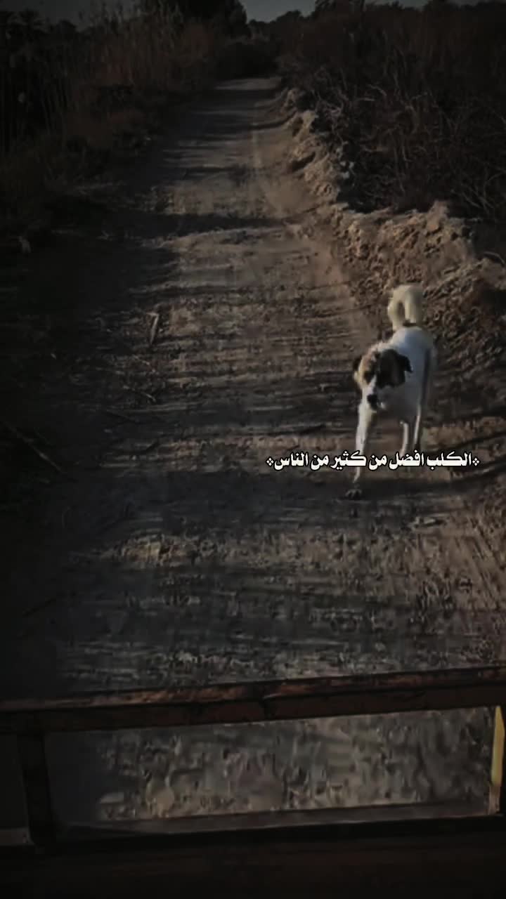 @امزون ابو علوش📻