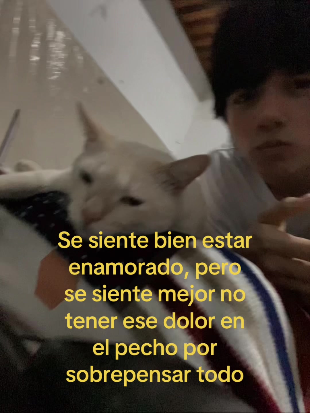 @marinho