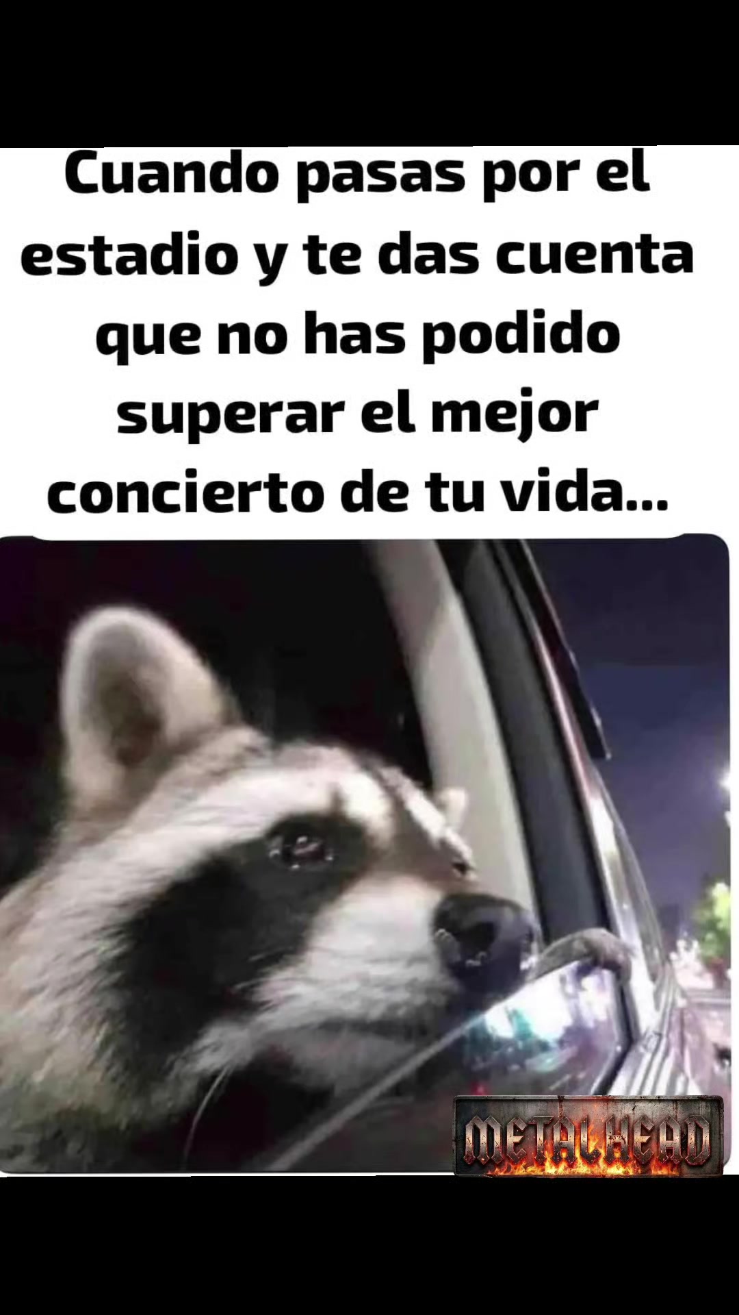 @Metal Head