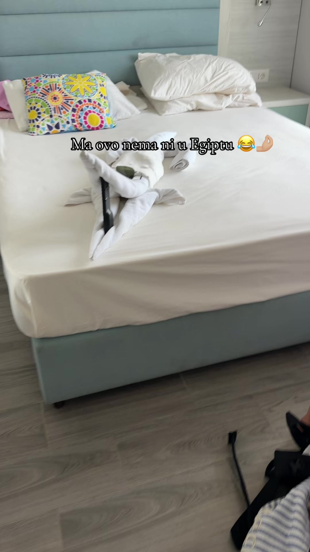 @Gashanaa
