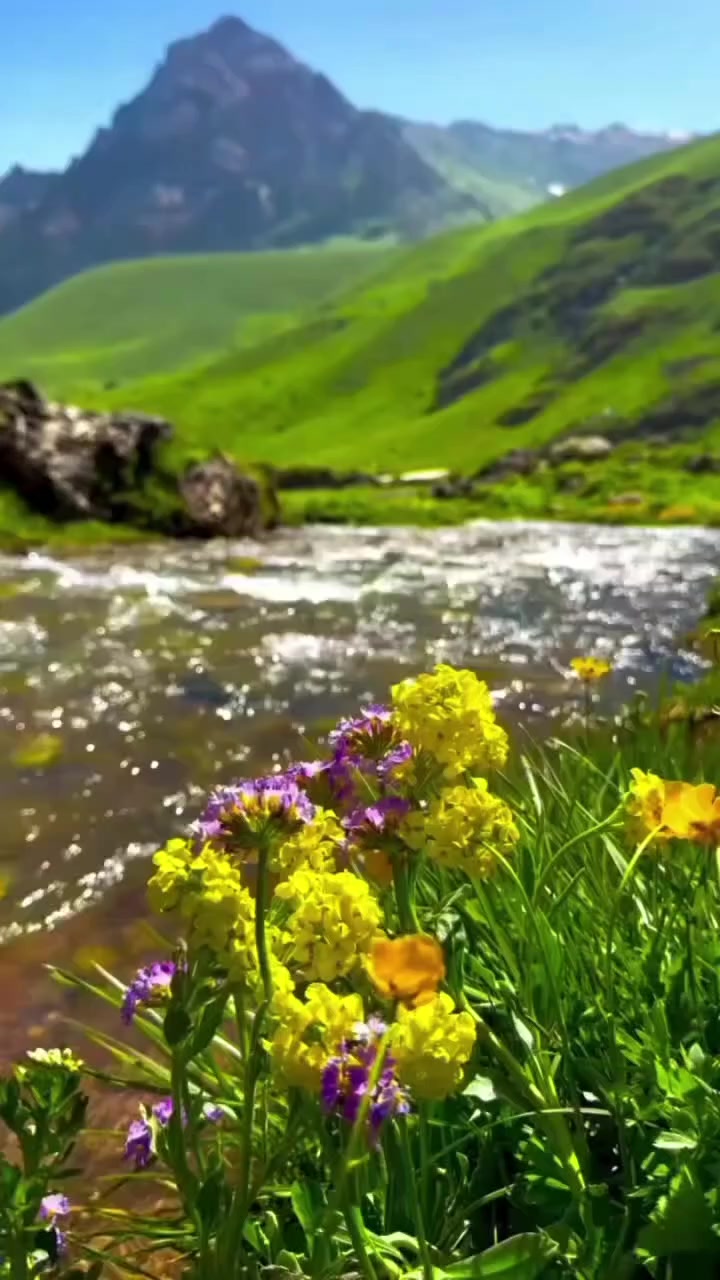 @_Hafizali61