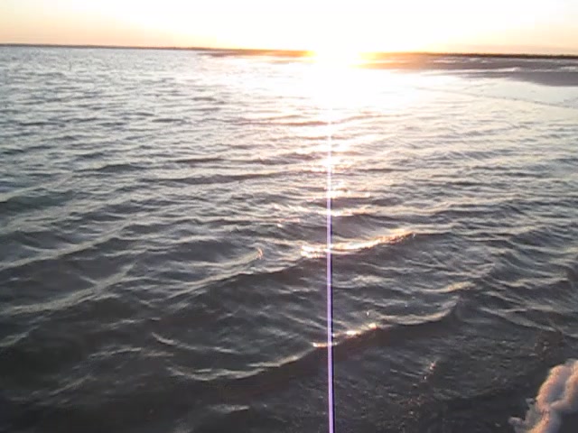 @ֶָ֢