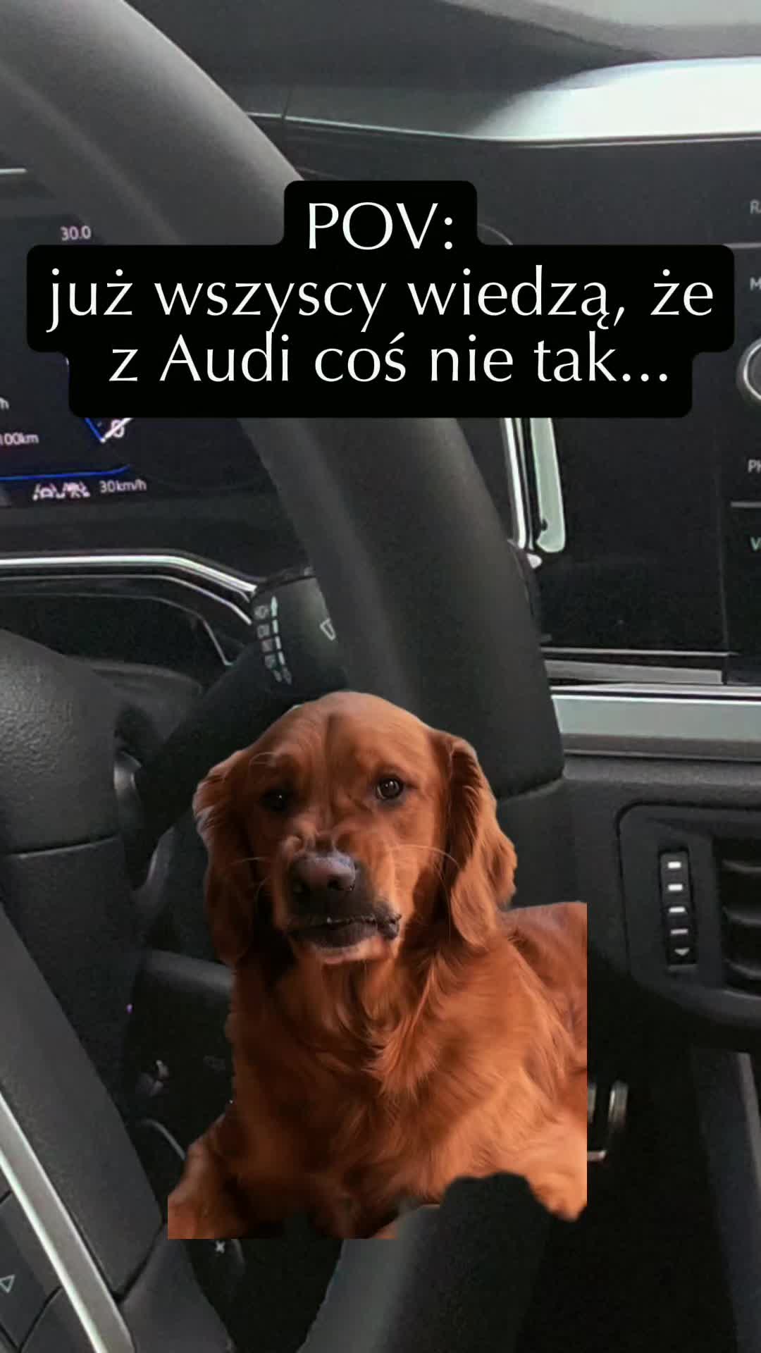 @𝑇𝑖𝑘𝑡𝑜𝑘𝑜𝑤𝑎 𝑍𝑜ł𝑧𝑎🍷