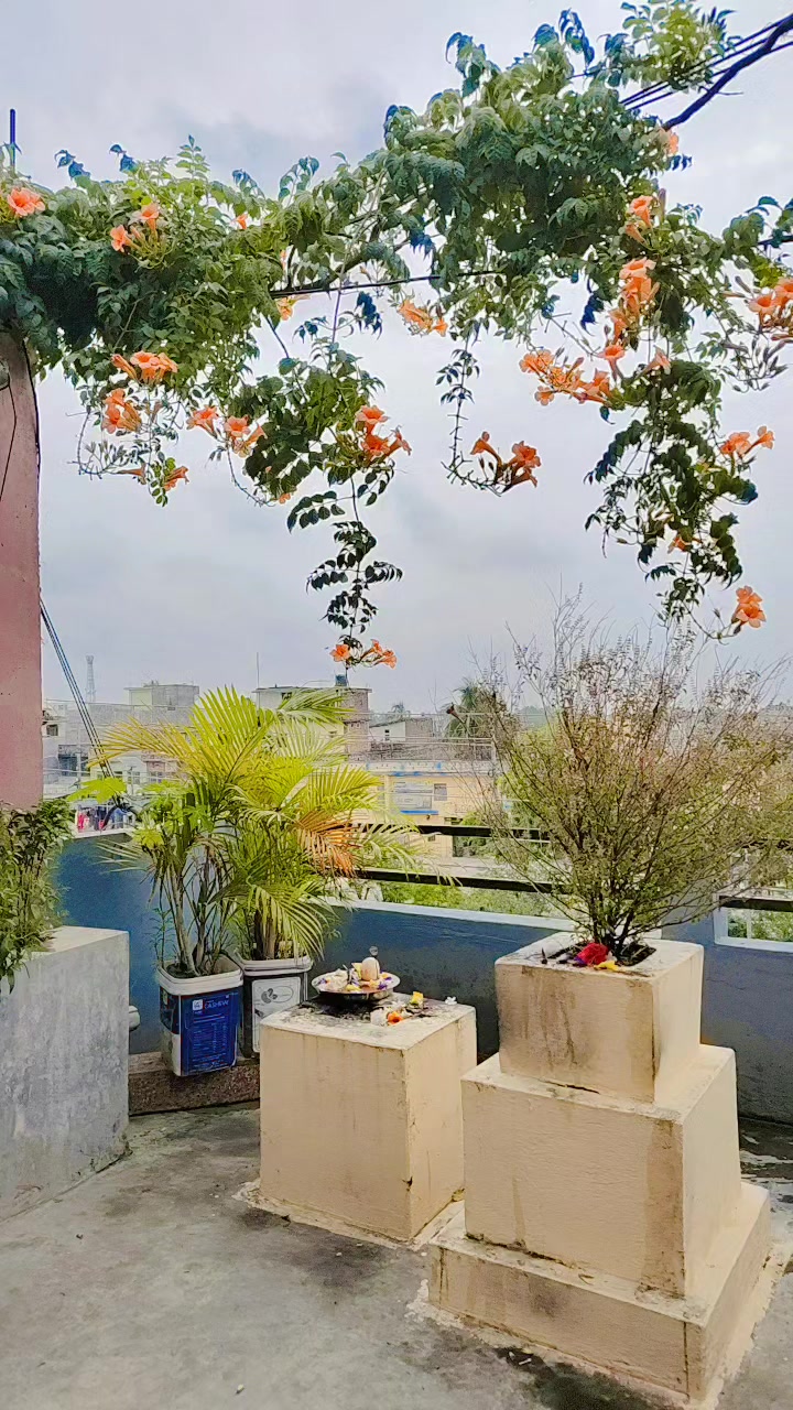 @Amrita Mahaseth