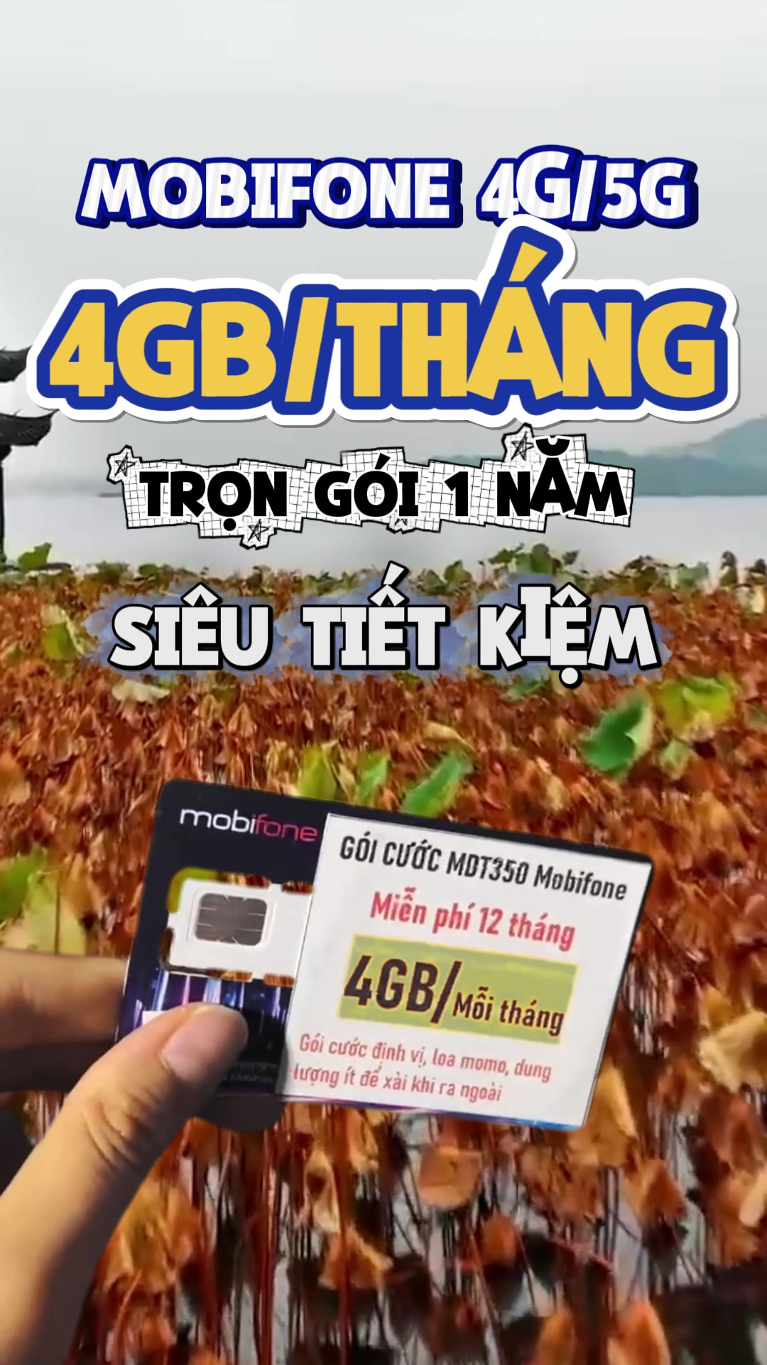 @Sim Khánh Vy