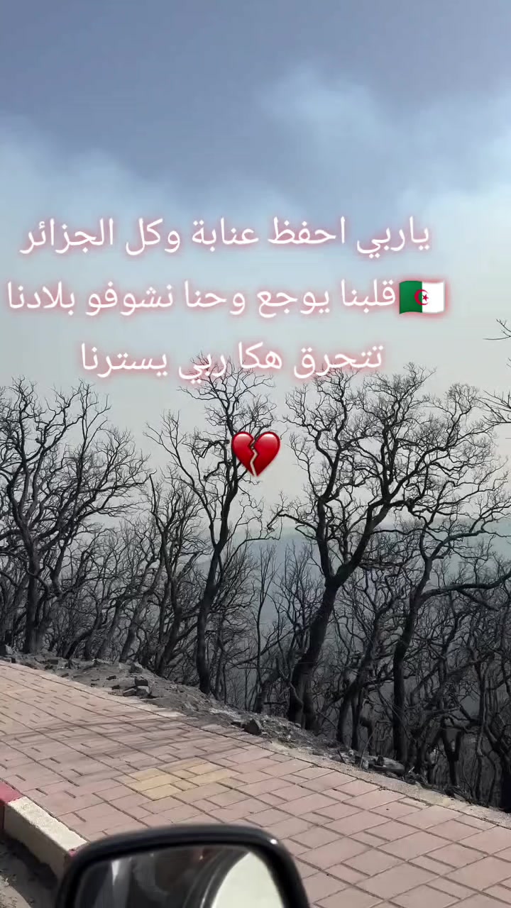 @العنابية23❤️🇩🇿🇵🇸